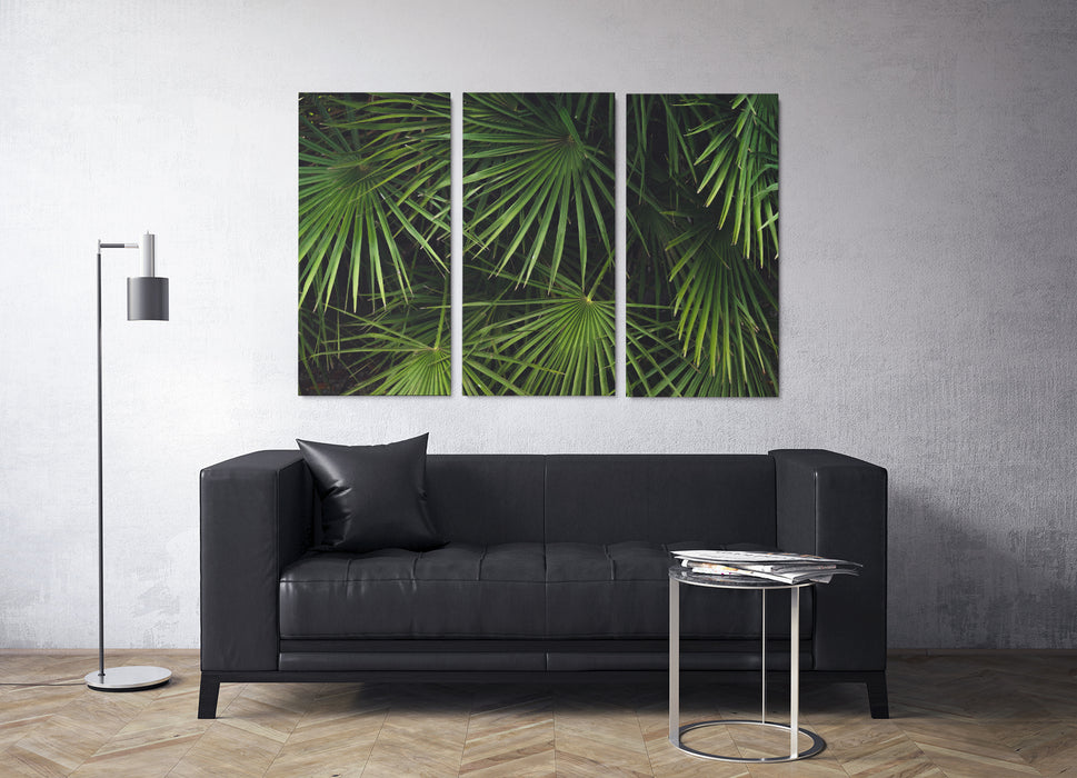 3-Piece Canvas