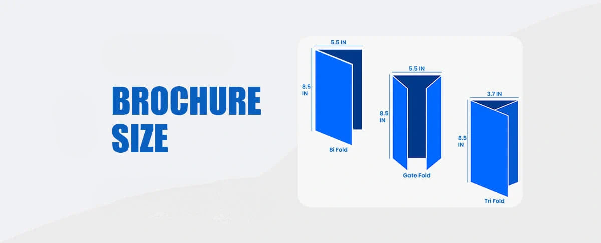 Brochure Size: Everything You Need to Know